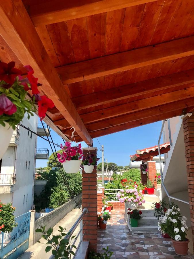 Vila Arlind * Vlorë
